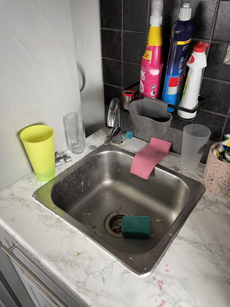 img 2566
